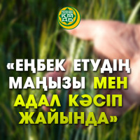 Әйелімен және еркектермен жеке порно