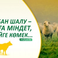 Минет порно жинағы