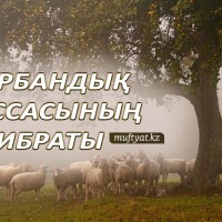 80 жастағы порно әже