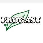 «PROGAST»