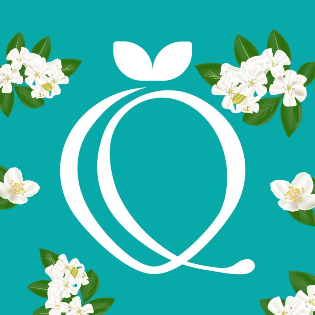 «Qulpynai»