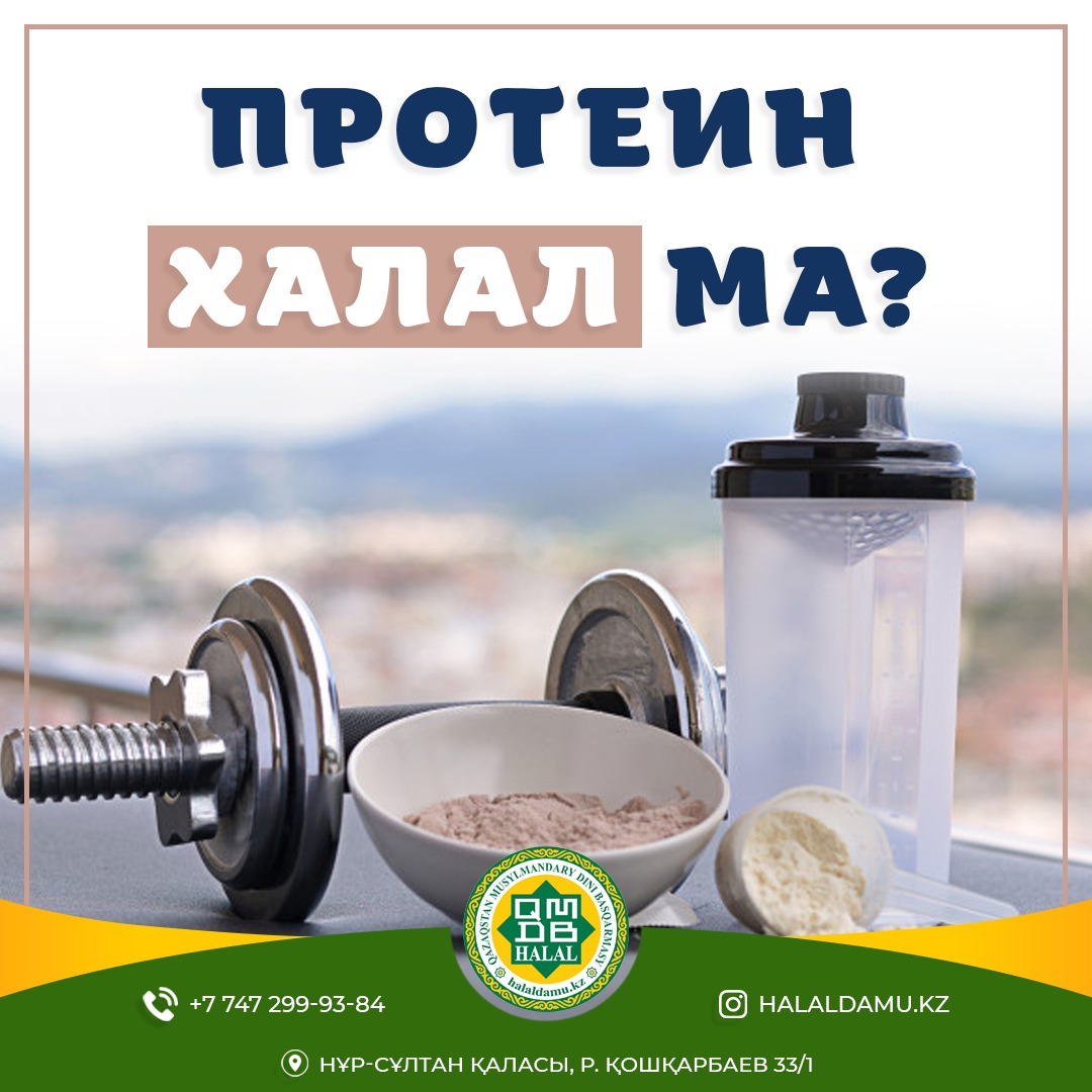 Протеин халал ма?