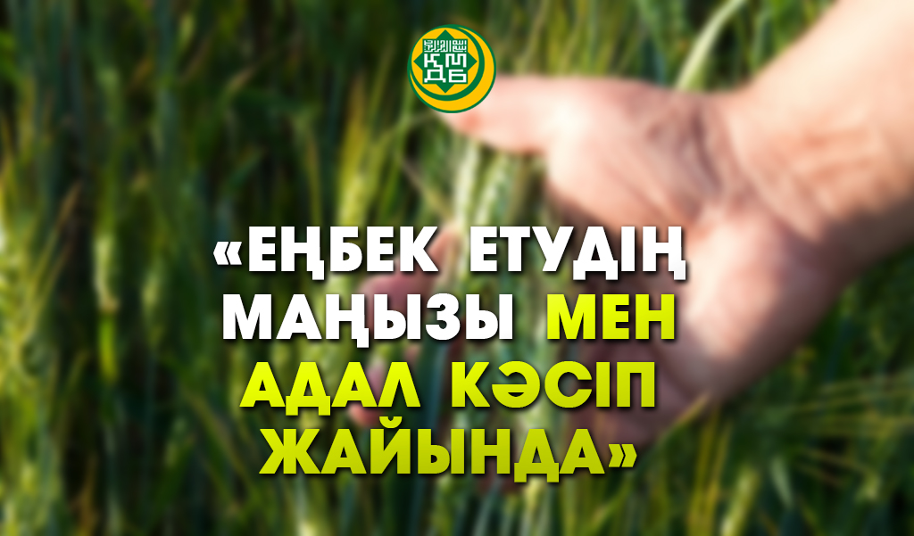 Еңбек етудің маңызы мен адал кәсіп туралы