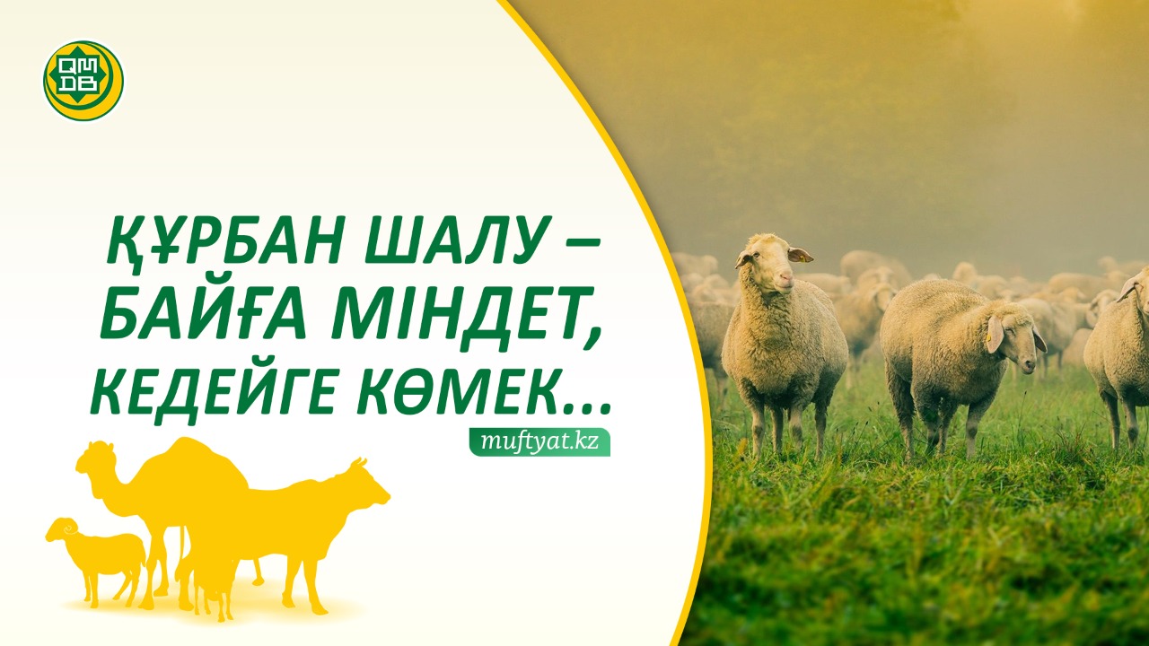 ҚҰРБАН ШАЛУ – БАЙҒА МІНДЕТ, КЕДЕЙГЕ КӨМЕК…
