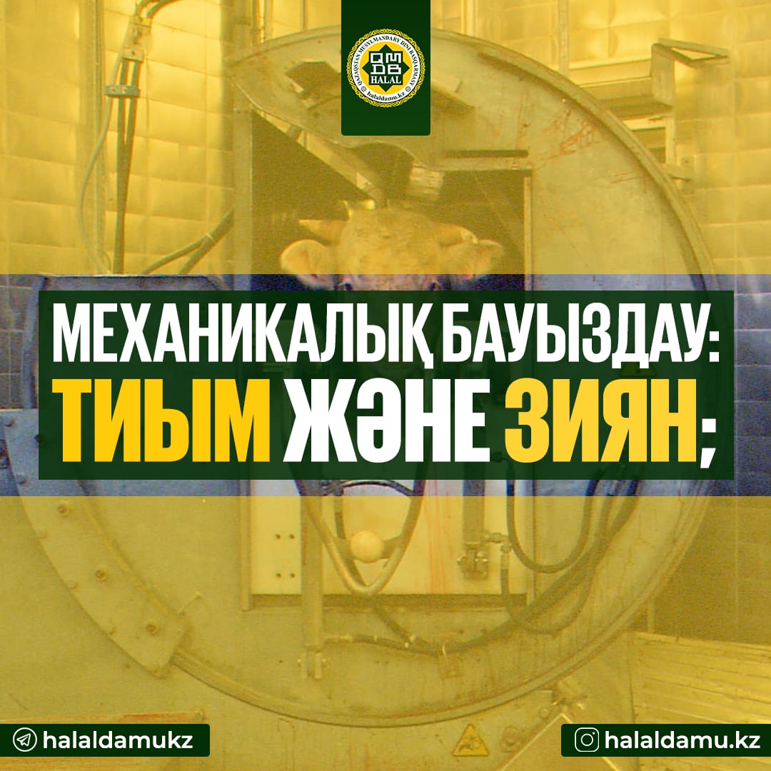 Малды механикалық жолмен сою: тыйымы және зияны