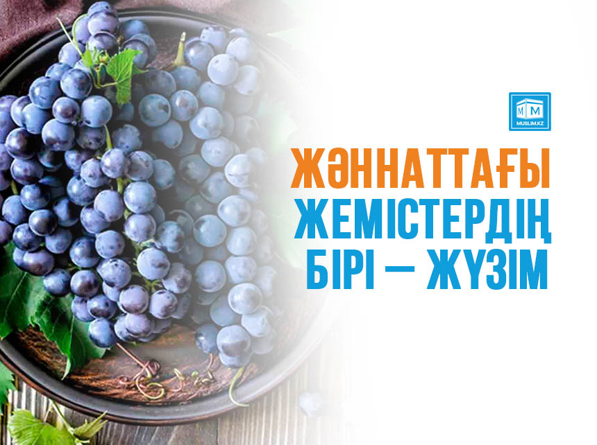 Жәннаттағы жемістердің бірі – жүзім