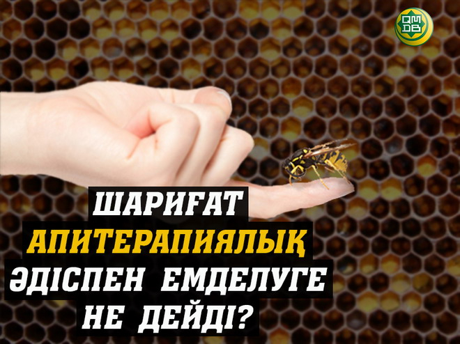 Шариғат апитерапиялық әдіспен емделуге не дейді?!