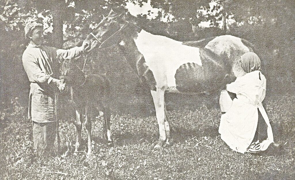 БИЕ СҮТІ ЕМІ