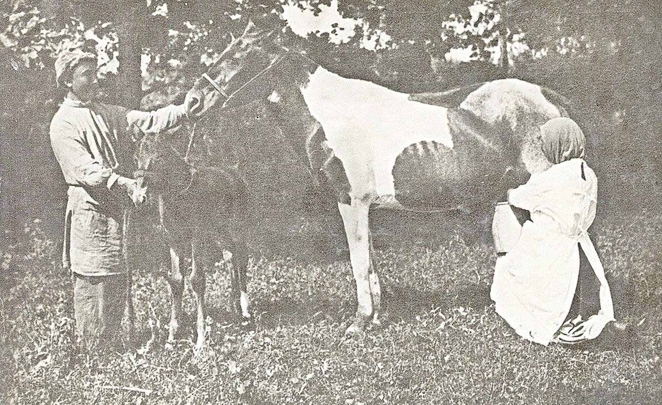 БИЕ СҮТІ ЕМІ