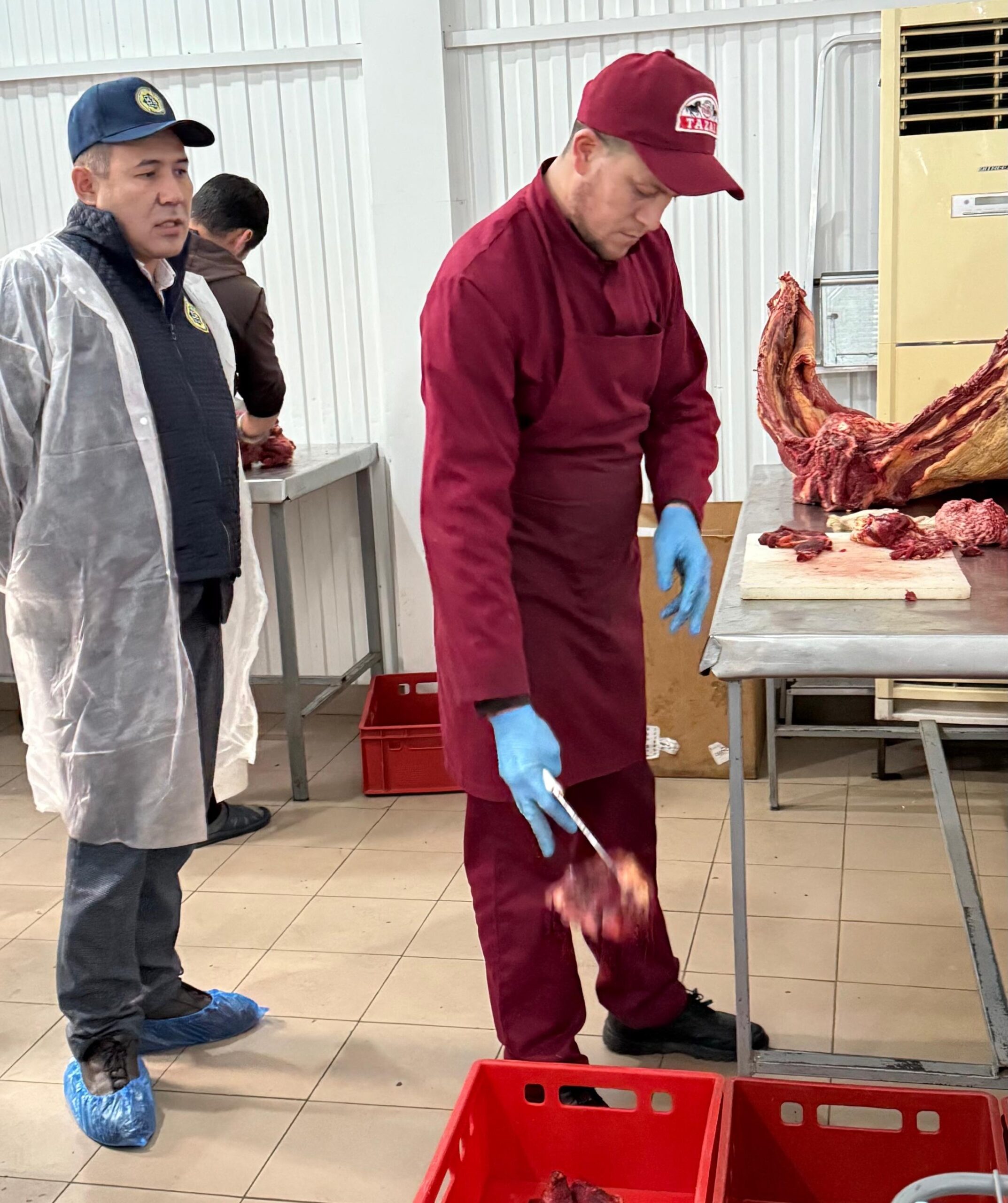 ОРАЛДА АУДИТ ЖҮРГІЗІЛУДЕ