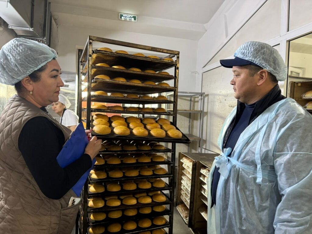 АЛМАТЫ: АЙЛЫҚ АУДИТ ЖАЛҒАСУДА