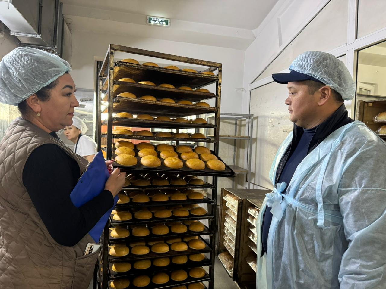 АЛМАТЫ: АЙЛЫҚ АУДИТ ЖАЛҒАСУДА