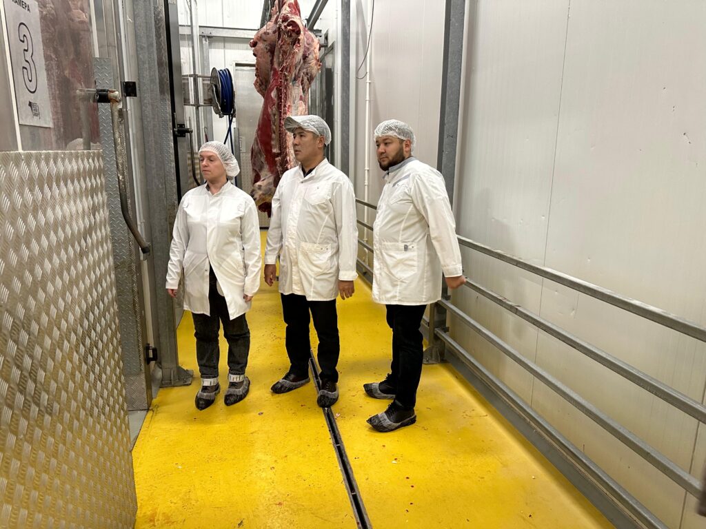 ҚАСАПХАНАЛАРДА АУДИТ ЖАЛҒАСУДА