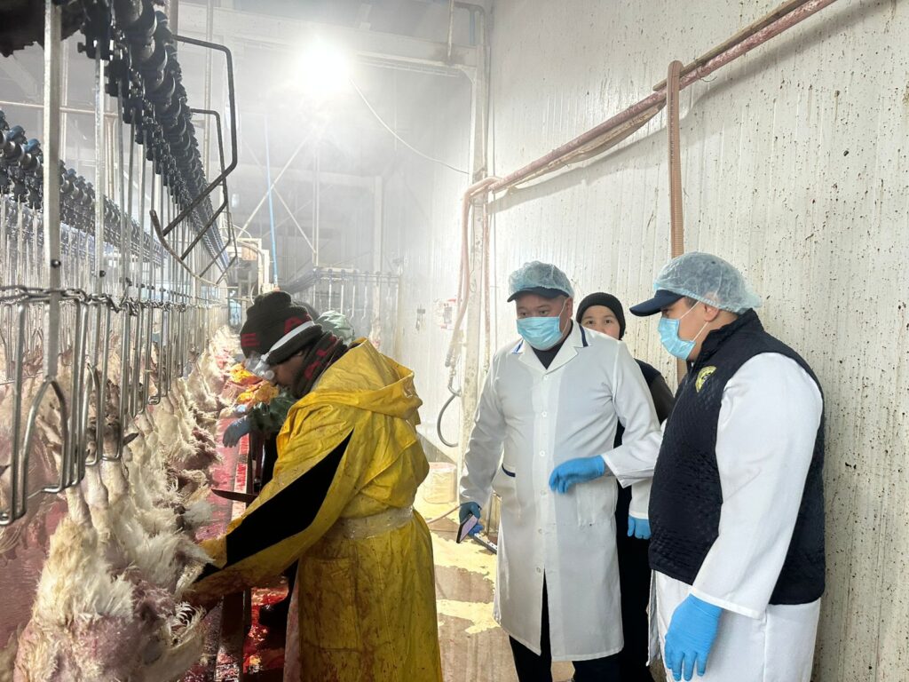 АЛМАТЫ ОБЛ.: «НАУРЫЗ АГРО» ҚҰС ФАБРИКАСЫНДА АУДИТ