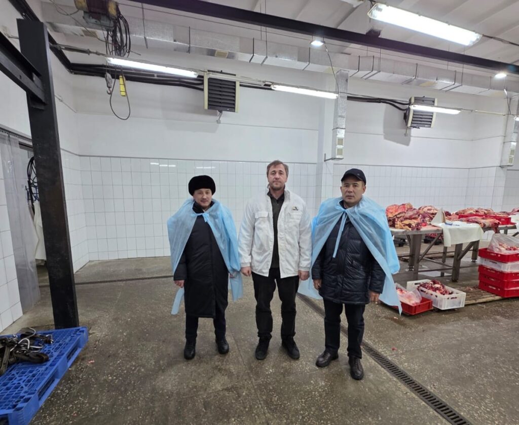 ПАВЛОДАРДАҒЫ ҚАСАПХАНАЛАРДА АУДИТ