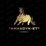 “AMANDYK-ET”