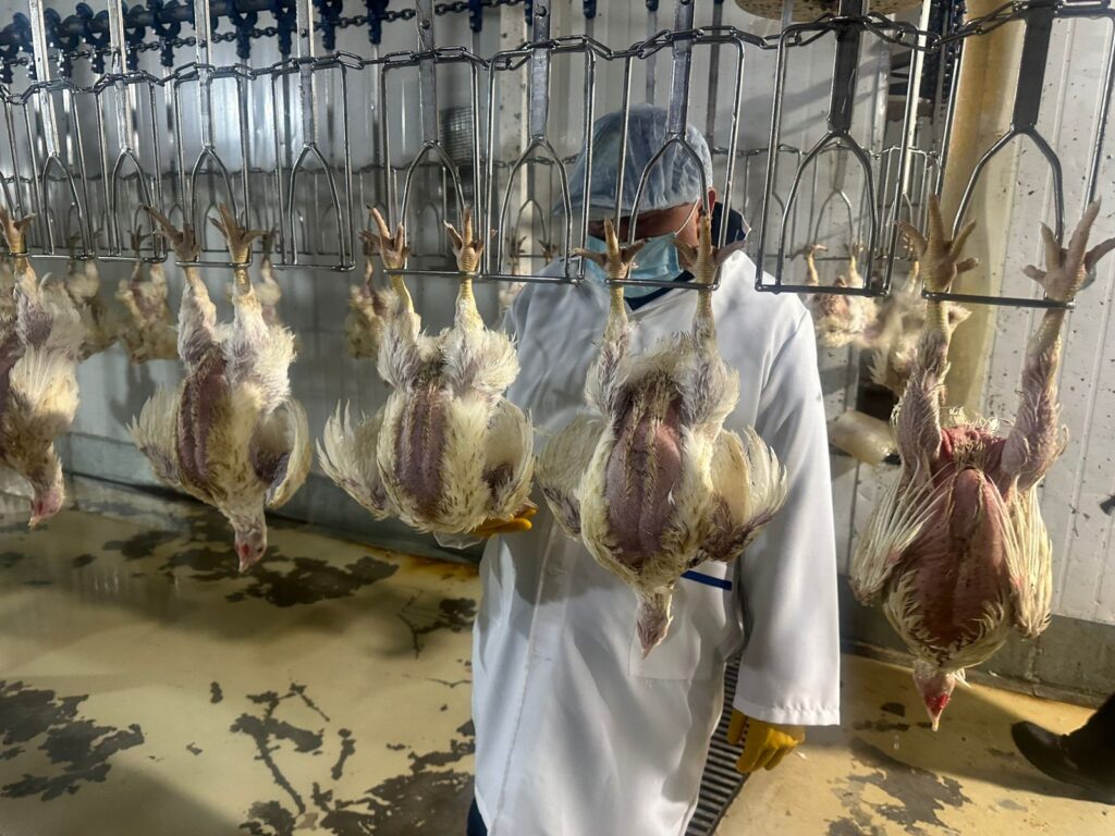 АЛМАТЫ ОБЛЫСЫНДАҒЫ «НАУРЫЗ АГРО» ҚҰС ФАБРИКАСЫНДА АУДИТ ЖҮРГІЗІЛІП, ҚАСАПШЫЛАРҒА СЕМИНАР ҰЙЫМДАСТЫРЫЛДЫ