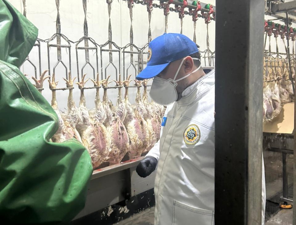 «АЛЕЛЬ АГРО» АҚ ЖАМБЫЛ ФИЛИАЛЫ ҚҰС ФАБРИКАСЫНДА АУДИТ ЖҮРГІЗІЛДІ