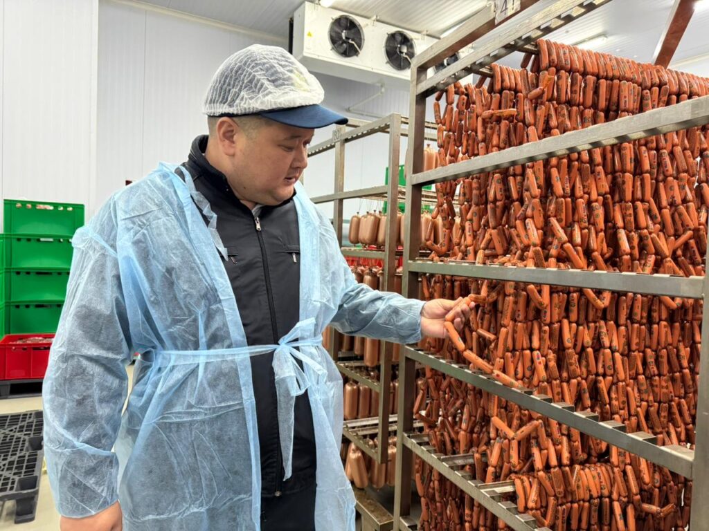 АЛМАТЫ ҚАЛАСЫНДА БІРҚАТАР КӘСІПОРЫНДАРДА ЖОСПАРЛЫ АУДИТ ЖҮРГІЗІЛДІ