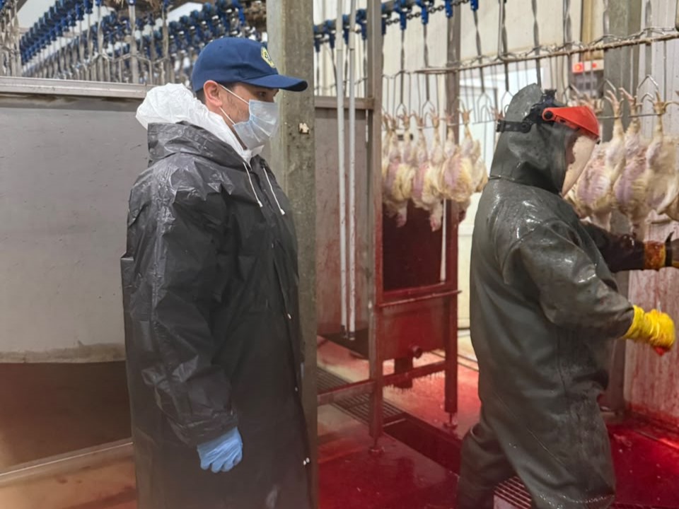 ПЕТРОПАВЛДАҒЫ КӘСІПОРЫНДАРДА АУДИТ ЖҰМЫСТАРЫ ЖҮРГІЗІЛДІ
