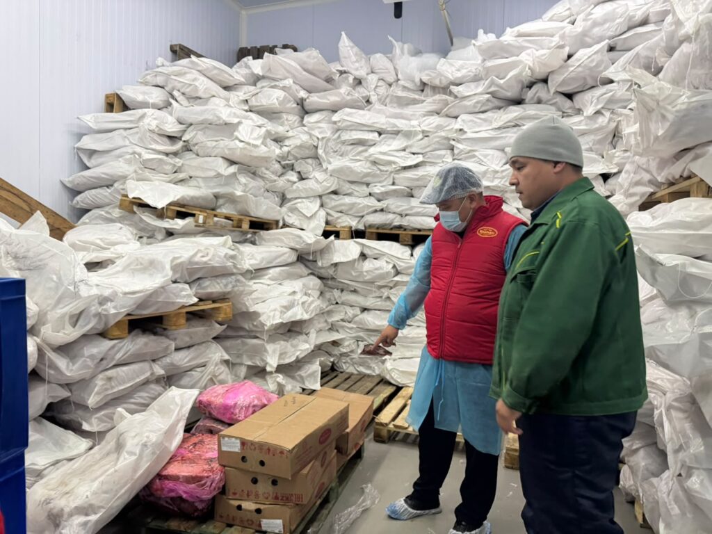 АЛМАТЫ ҚАЛАСЫНДА АЙЛЫҚ ТЕКСЕРІС ЖҰМЫСТАРЫ ЖАЛҒАСУДА
