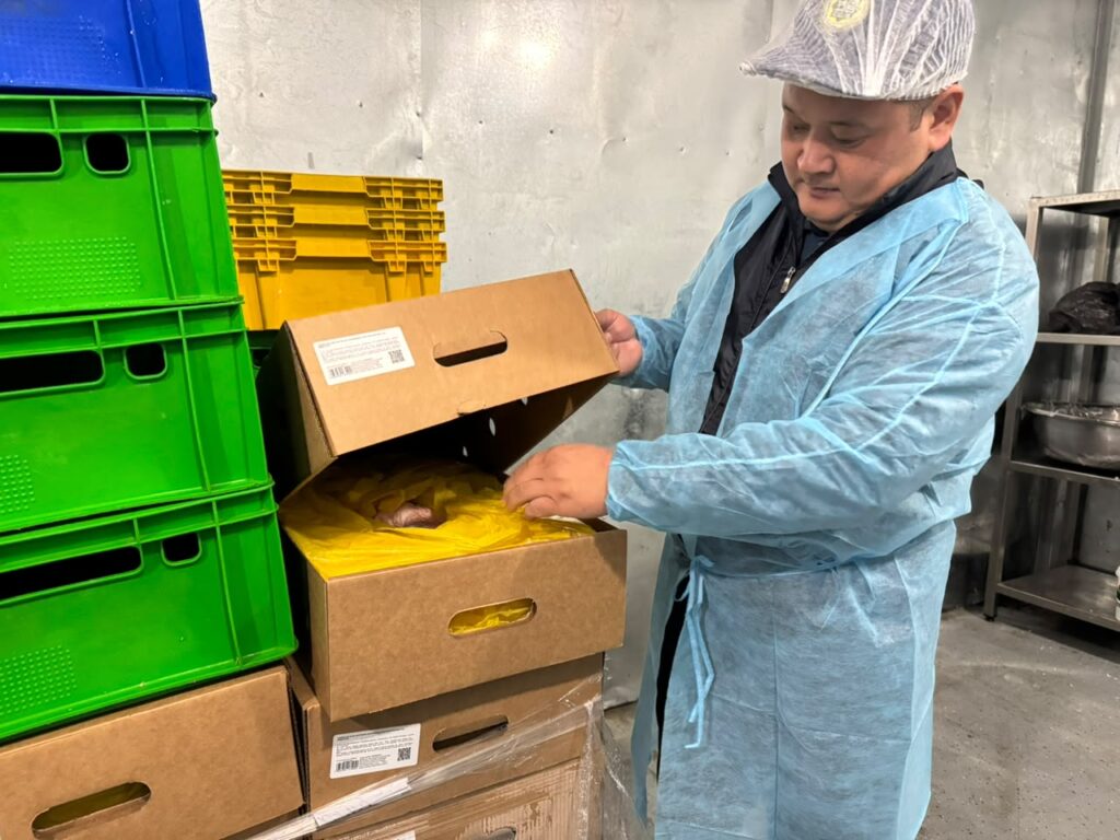 АЛМАТЫ ҚАЛАСЫНДА ТЕКСЕРІС ЖҰМЫСТАРЫ ЖАЛҒАСУДА
