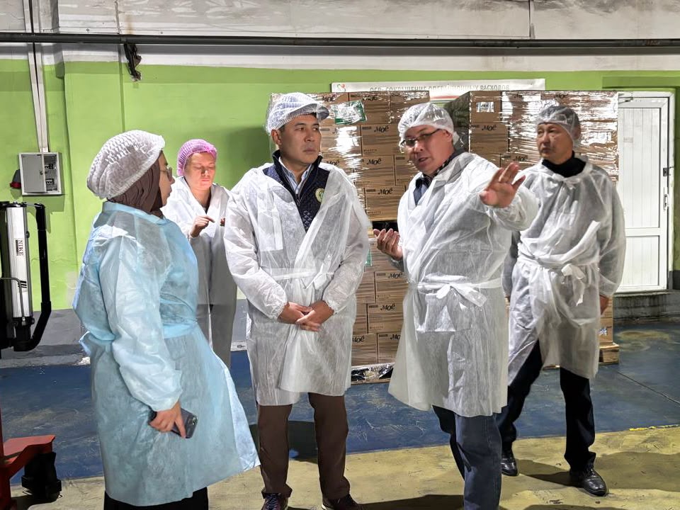 ҚОСТАНАЙ ҚАЛАСЫНДА «RG BRANDS KAZAKHSTAN» КӘСІПОРНЫНДА АЛҒАШҚЫ АУДИТ ЖҰМЫСТАРЫ БАСТАЛДЫ